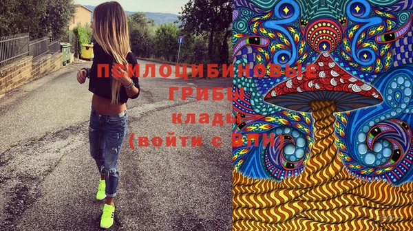 2c-b Абинск