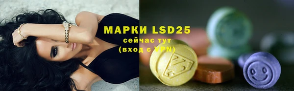 дмт Абаза