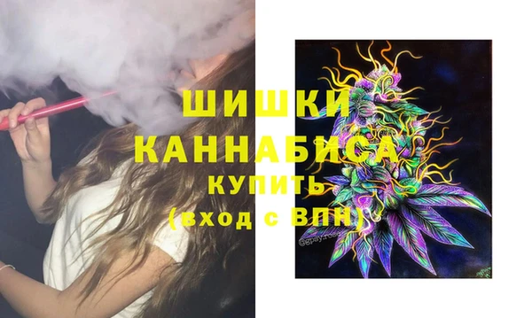 дмт Абаза